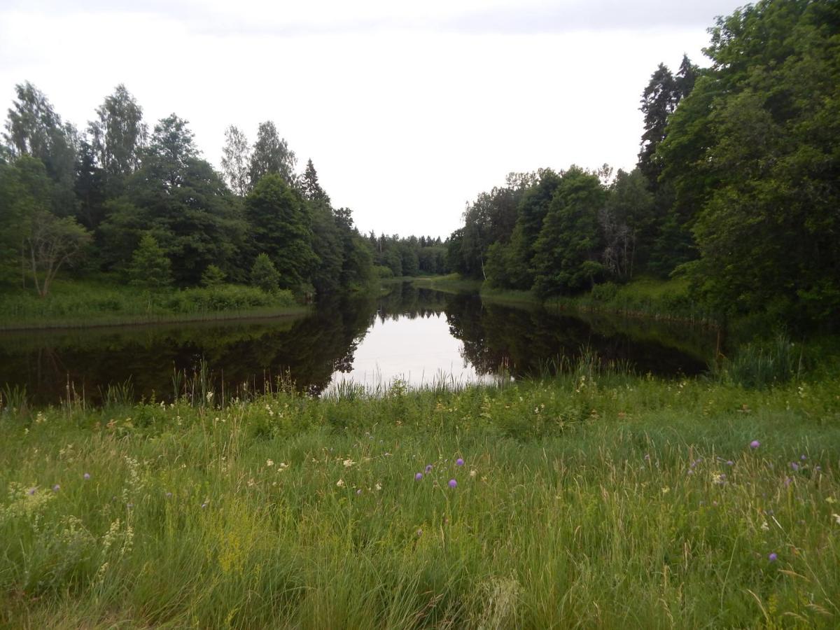 Haaviku Nature Cottage Tepelvalja Exteriör bild