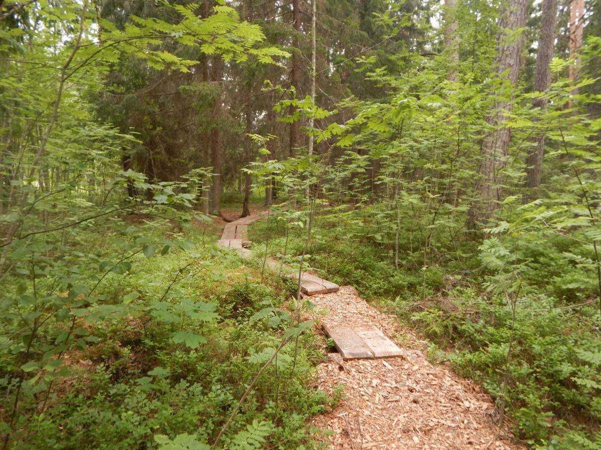 Haaviku Nature Cottage Tepelvalja Exteriör bild